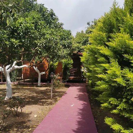 Homestay szállás Sahil Pansiyon Bungalow *