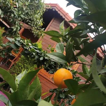 Sahil Pansiyon Bungalow Antalya