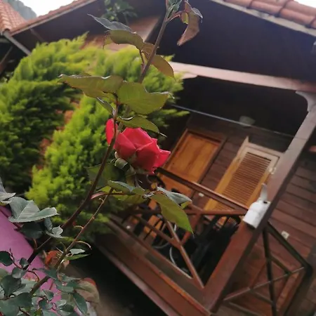 Homestay Sahil Pansiyon Bungalow