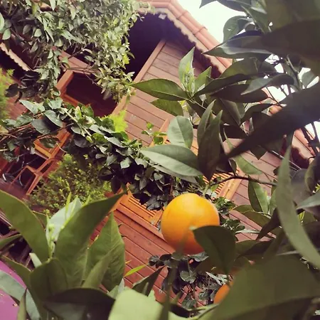 Sahil Pansiyon Bungalow Antalya