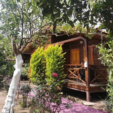 Homestay Sahil Pansiyon Bungalow
