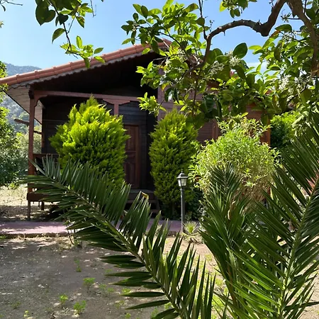 Sahil Pansiyon Bungalow Homestay Antalya