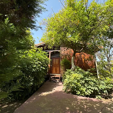 Sahil Pansiyon Bungalow Antalya