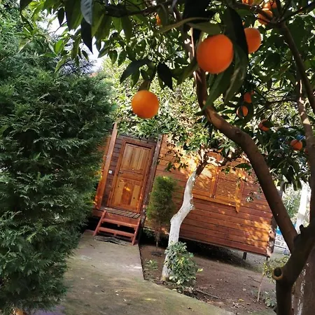 Sahil Pansiyon Bungalow *
