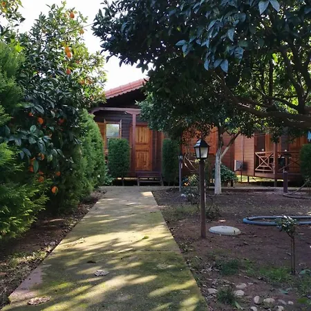 Sahil Pansiyon Bungalow Homestay Antalya