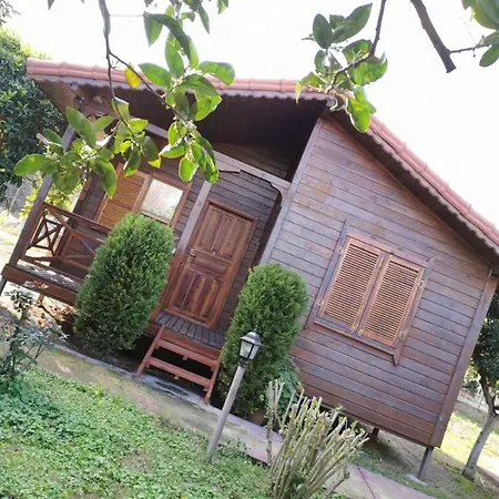 Sahil Pansiyon Bungalow Antalya