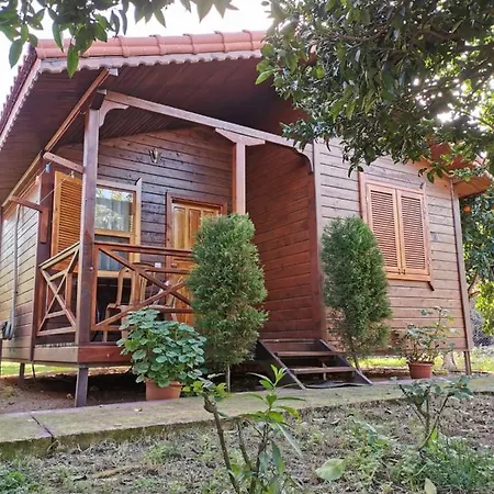 Sahil Pansiyon Bungalow Homestay *