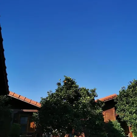 Sahil Pansiyon Bungalow Homestay